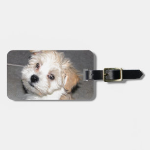 Havanese Rescue Puppy Tan Beige Luggage Tag