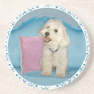 Havanese Sandstone Drink Coaster