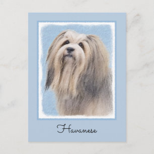Havanese (Silver) Painting - Cute Original Dog Art Postcard
