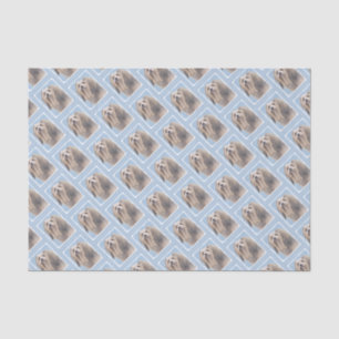 Havanese (Silver) Painting - Cute Original Dog Art Tissue Paper
