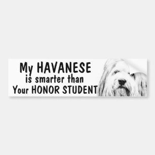 Havanese - Smarter than honour student - funny Bumper Sticker
