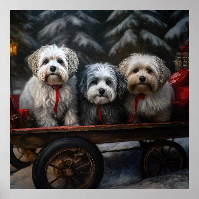 Havanese Snowy Sleigh Christmas Decor  (Front)