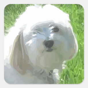 Havanese Square Sticker