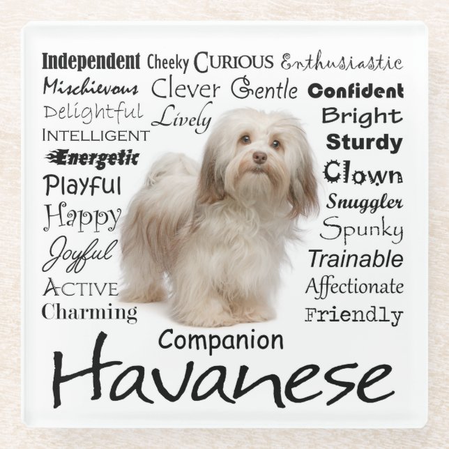 Havanese Traits Glass Coaster (Front)
