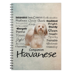 Havanese Traits Notebook