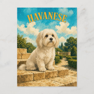 Havanese, Vintage Watercolor Dog Art Postcard