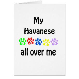 Havanese Walks Design