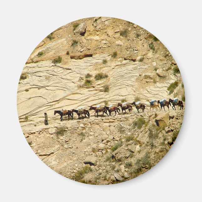 Havasu Canyon Pack Train Magnet (Front)