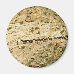 Havasu Canyon Pack Train Magnet