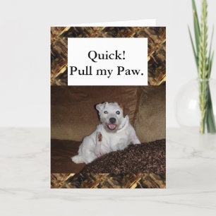 Have a Blast Birthday Card