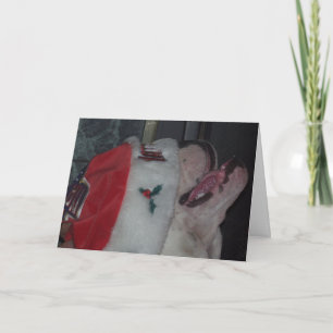 Have a Bully Christmas Holiday Card