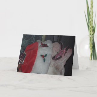 Have a Bully Christmas Holiday Card