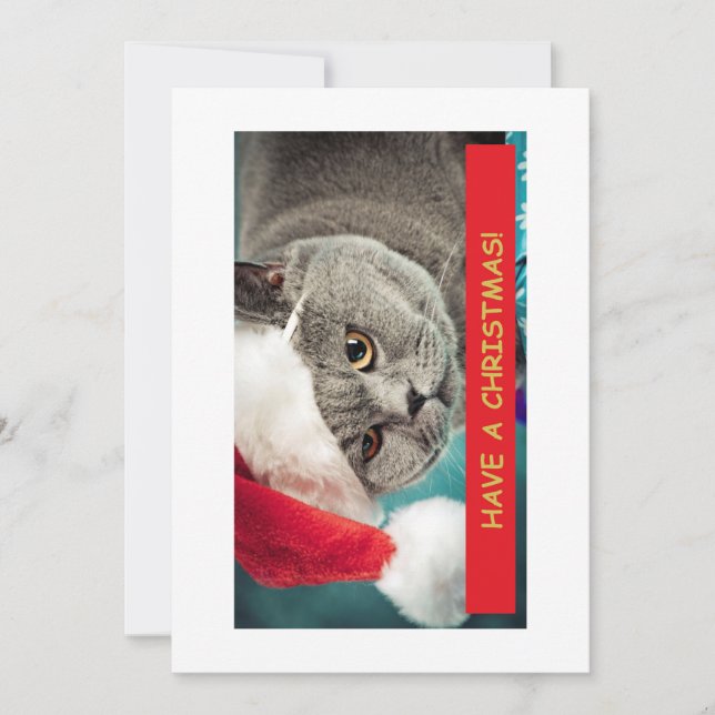 Have A Christmas! Funny Cat Holiday Card (Front)