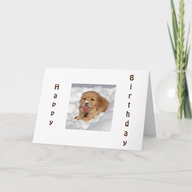 HAVE A "COOL" WINTER BIRTHDAY CARD (Front)