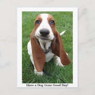 Have a Dog Gone Good Day! Postcard