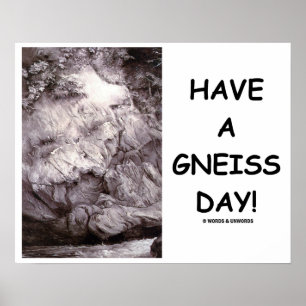 Have A Gneiss Day! Geology Gneiss Rock Poster