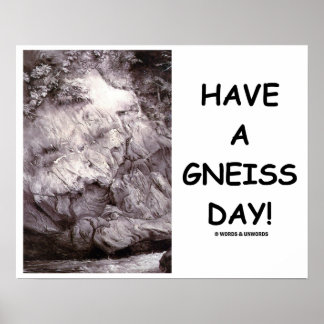 Have A Gneiss Day! Geology Gneiss Rock Poster