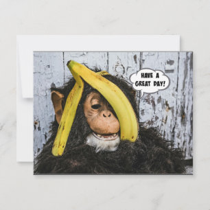"Have a Great Day!" Gotta Love thisHappy Chimp Card