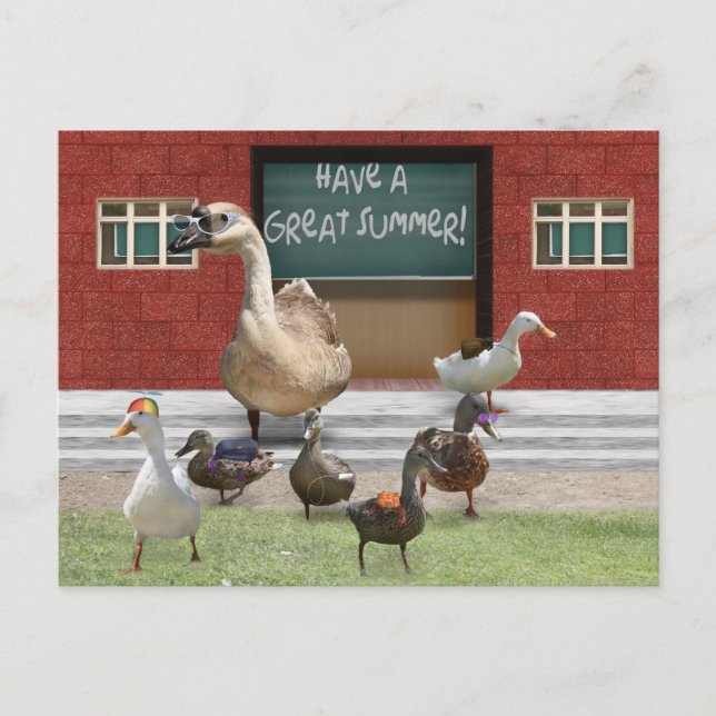 Have a Great Summer Vacation! Postcard (Front)