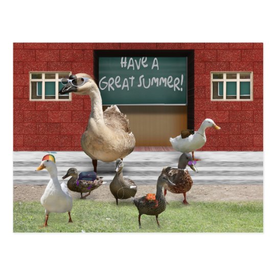 Have a Great Summer Vacation! Postcard