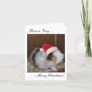 Have a Guinea Merry Christmas card! Holiday Card
