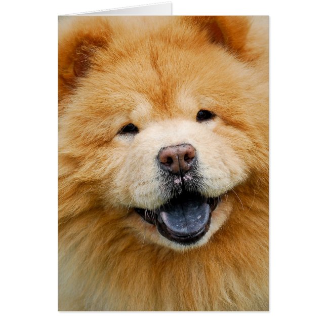 Have A Happy (Front)