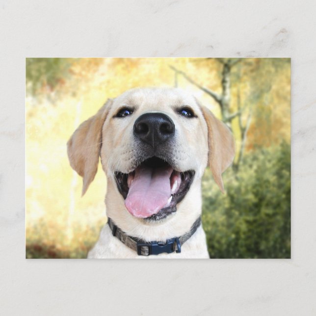 Have a happy day! postcard (Front)