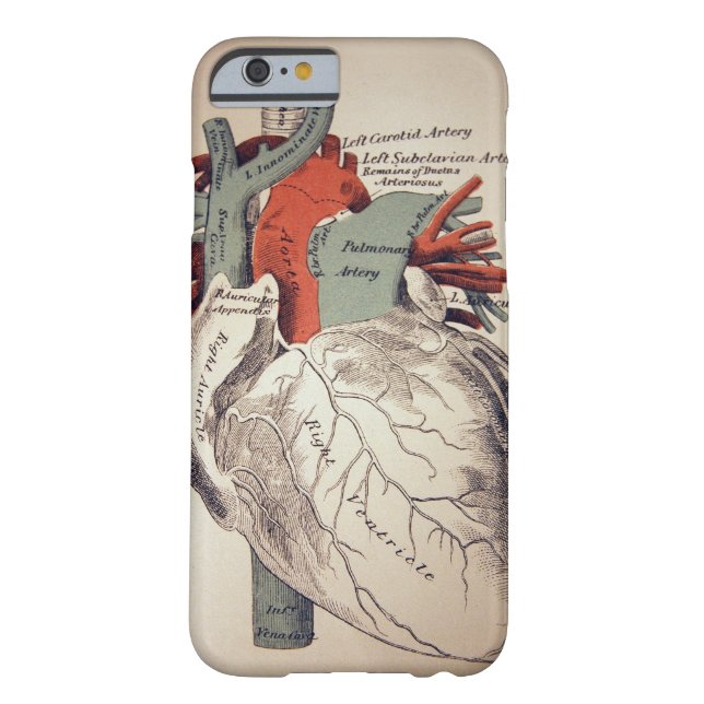 Have a Heart iPhone 6 case (Back)