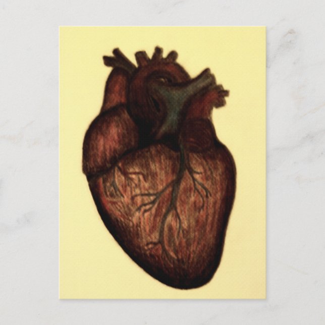 Have a heart postcard (Front)