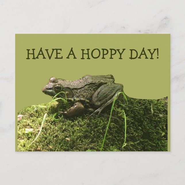 Have a Hoppy Day Frog Photo Green Postcard (Front)