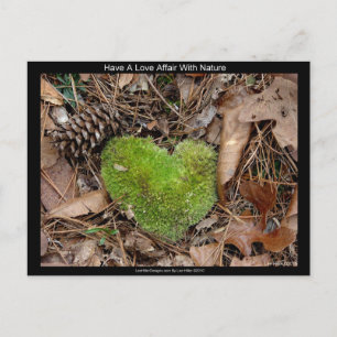 Have a Love Affair with Nature Moss Heart Gifts Postcard