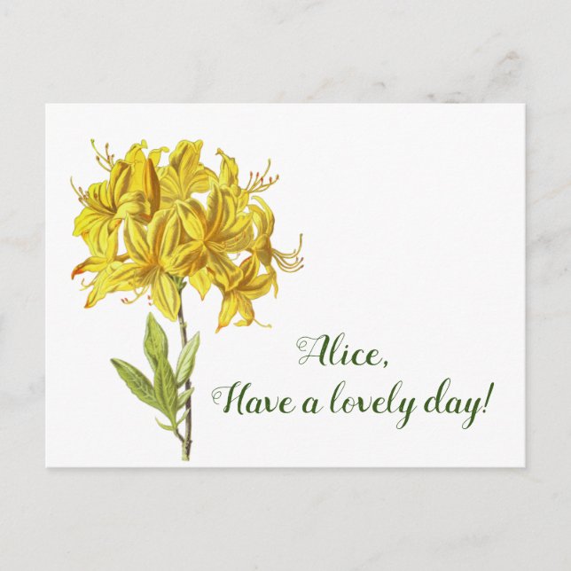 Have a lovely day! postcard (Front)