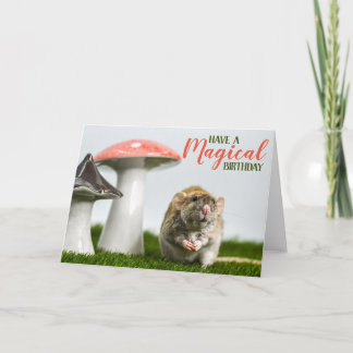 Have a Magical Birthday Card