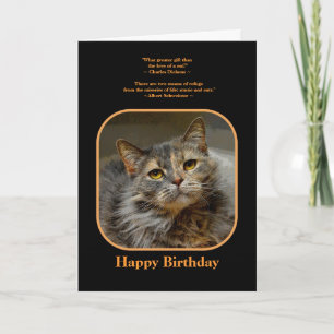 Have a meow-velous Birthday Tortoiseshell Cat Card