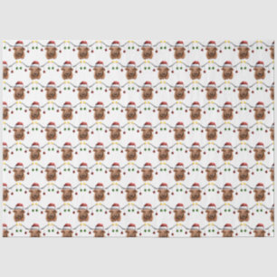 Have a Merry Hielan Coo Christmas Tissue Paper