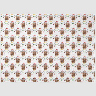 Have a Merry Hielan Coo Christmas Tissue Paper