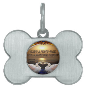 Have a Nice Day and a Better Night Text Quote Pet ID Tag