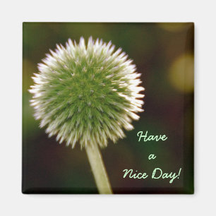 Have A Nice Day Magnet