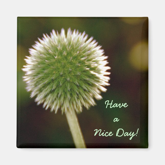 Have A Nice Day Magnet (Front)