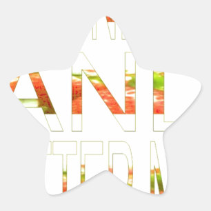 Have a Nice Day Star Sticker