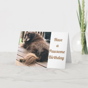 HAVE A **PAWSOME  BIRTHDAY** CARD