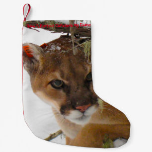 Have a Purrrfect Christmas Small Christmas Stocking