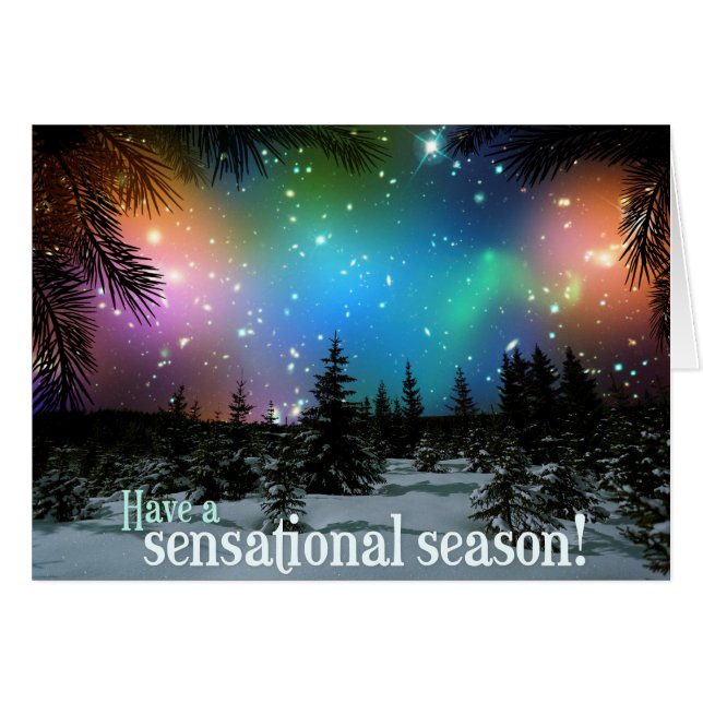 Have A Sensational Season! Hubble Space Telescope (Front Horizontal)