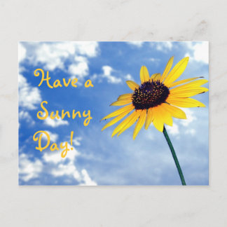 Have a Sunny Day! Postcard