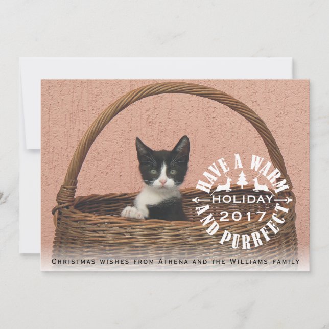 Have a warm and purrfect holiday cat Christmas Card (Front)