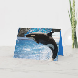 Have a Whale of a Day! Card