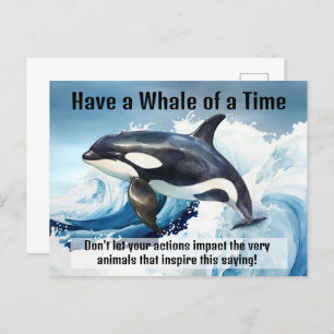 "Have a Whale of a Time" Pivotal Idiom with Orca Postcard