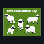 Have a WOOLLY Good Day Valais Blacknose Sheep Postcard<br><div class="desc">This fun postcard is perfect for anyone who loves sheep. It features the message "Have a WOOLLY Good Day!" but can be customised with your own greeting. This postcard has illustrations of Valais Blacknose sheep in white and black set against a bright green background.</div>