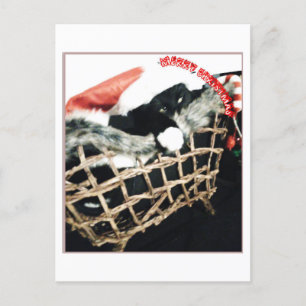 Have black-grinch Christmas Postcard