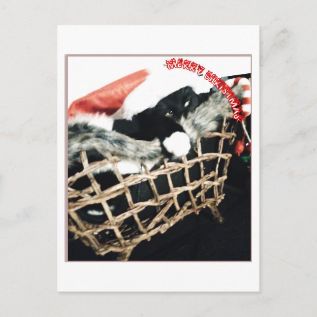 Have black-grinch Christmas Postcard (Front)
